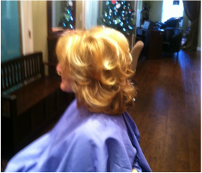 Haircut, hair highlighting, & hair blowout - Washington, Mi 48094